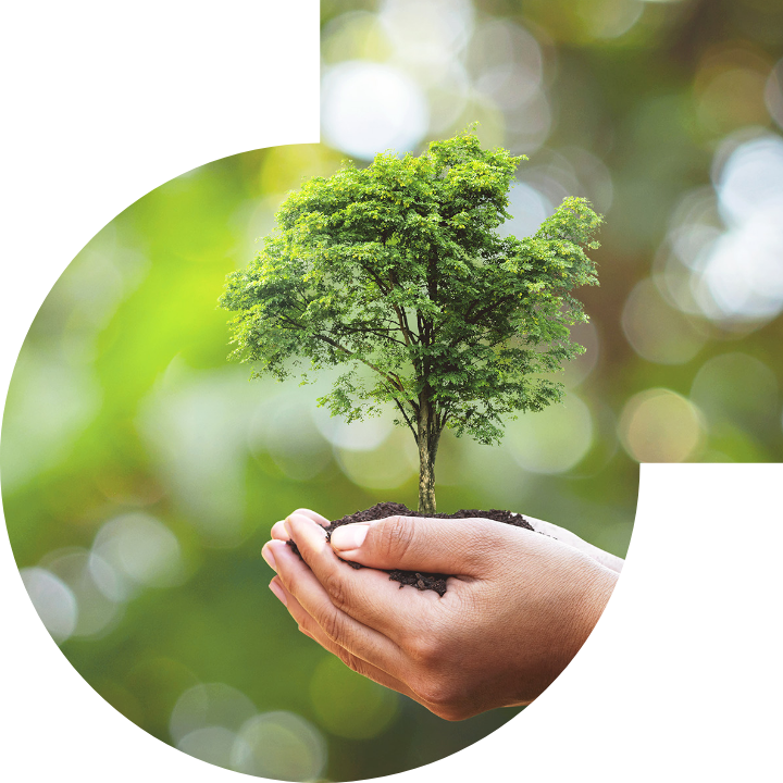 关怀人类、文化、环境与社会